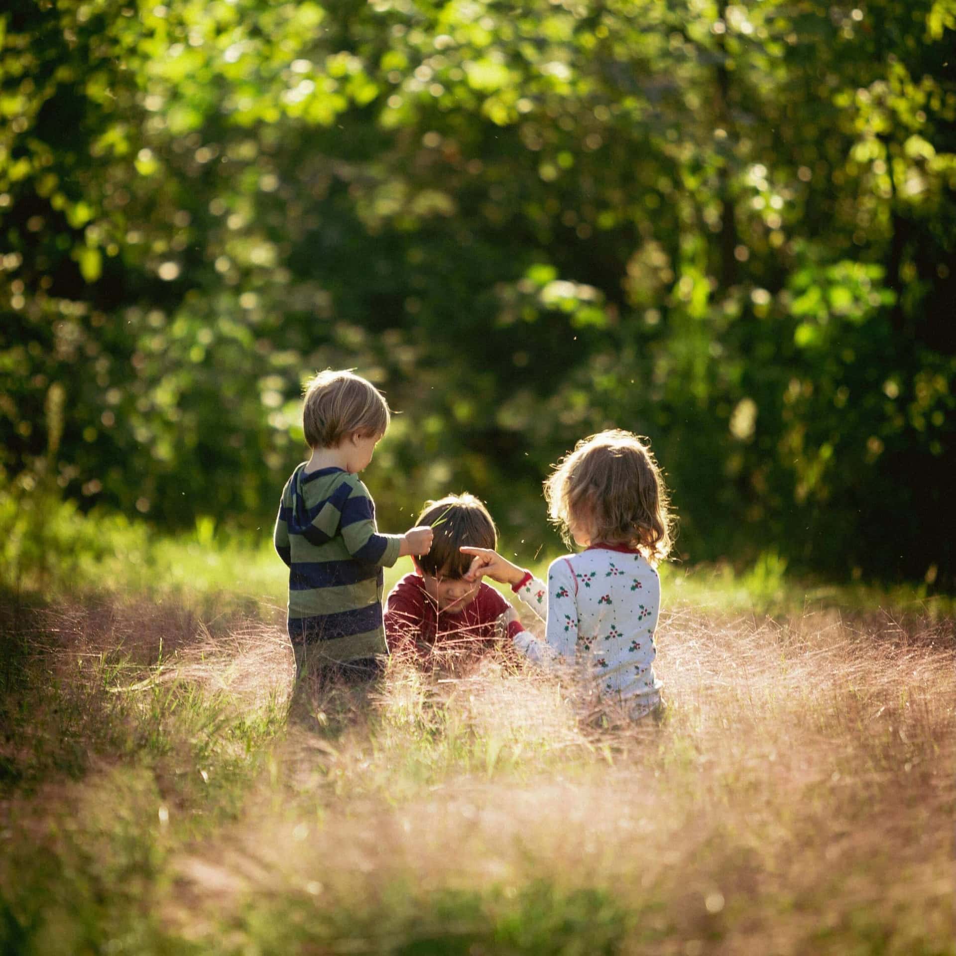 Nest & Nurture Hero Background